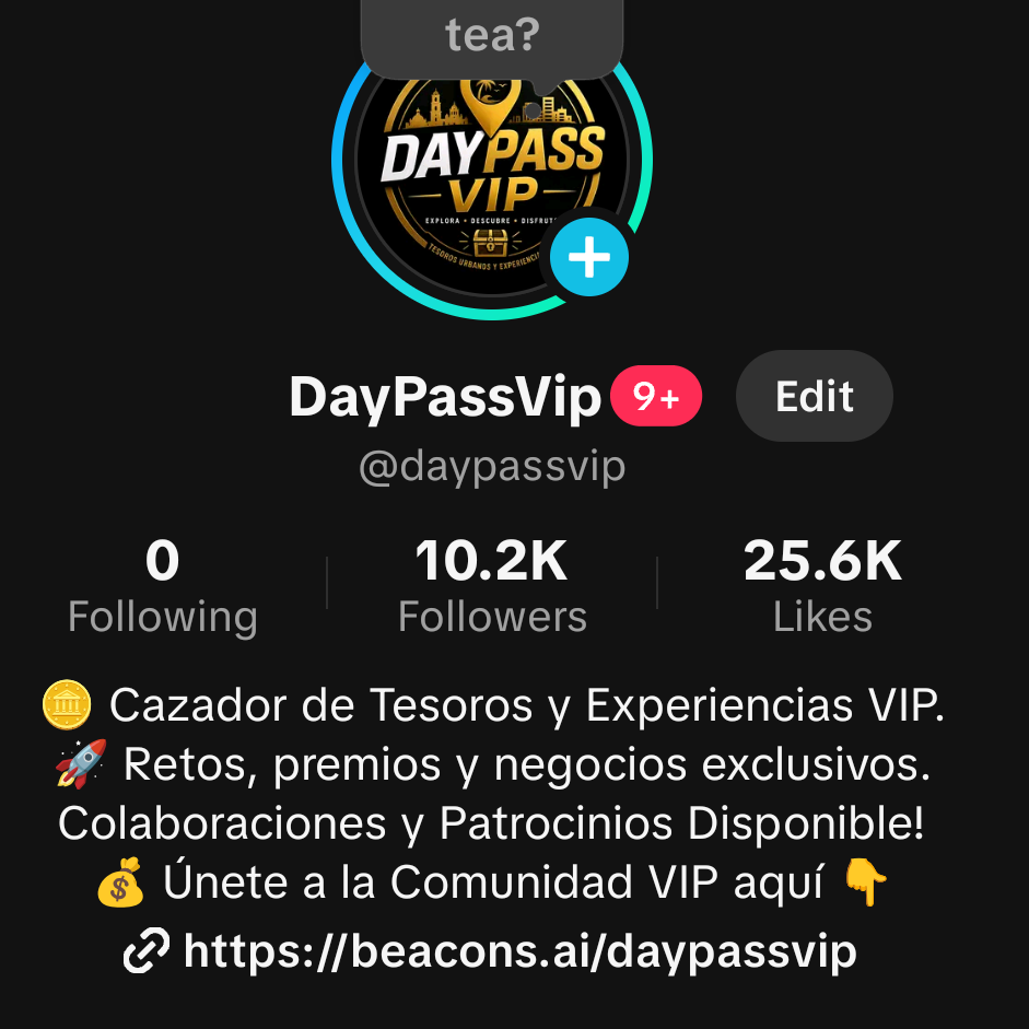 TikTok profile DayPassVip 10.2K followers 25.6K likes